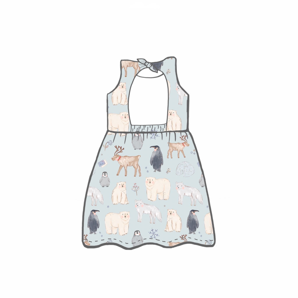 Polar Pals Dresses